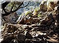 P4110504.JPG