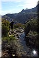 P4110510.JPG