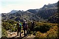 P4110511.JPG