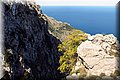 P4110520.JPG