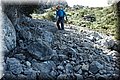 P4110547.JPG
