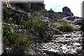 P4110551.JPG