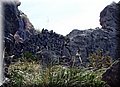 P4110552.JPG