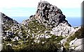 P4110562.JPG