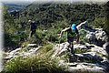 P4140601.JPG