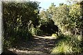 P4140610.JPG