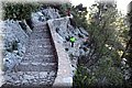 P4140631.JPG