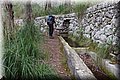P4180002.JPG