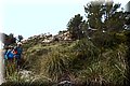 P4180004.JPG