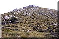 P4180005.JPG