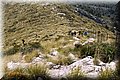 P4180020.JPG