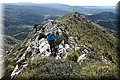 P4180026.JPG