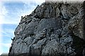 P4180035.JPG