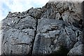 P4180036.JPG