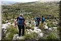 P4180044.JPG