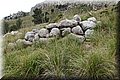 P4180056.JPG