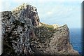 P4250065.JPG