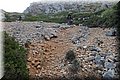 P4250067.JPG