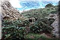 P4250095.JPG