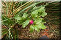 P4250107.JPG