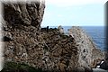 P4250126.JPG