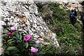 P4250140.JPG