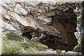 P4250202.JPG