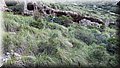 Img-20160428.jpg