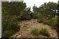 P4280220.JPG