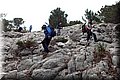 P4280248.JPG