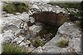 P4280251.JPG