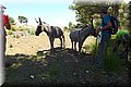 P6020536.JPG