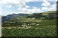 P6080222.JPG