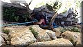 P7070913.JPG