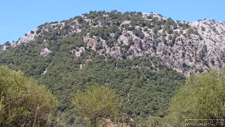 DSC_1129.JPG
