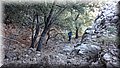 DSC_1134.JPG