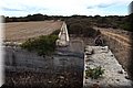 P9151223.JPG
