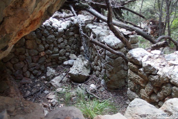 P1092255.JPG