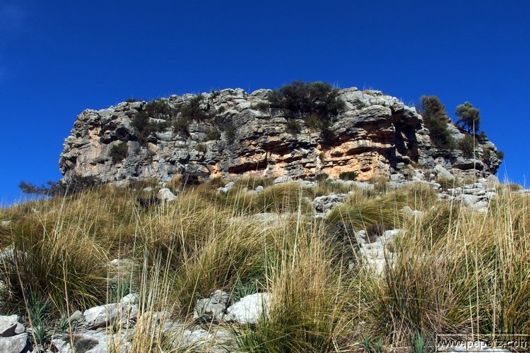 P1262422.JPG