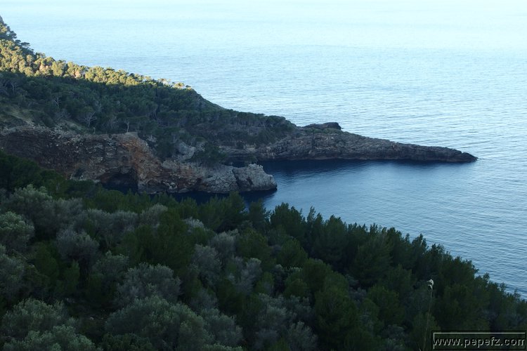 P2022502.JPG