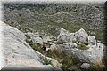 P4033463.JPG
