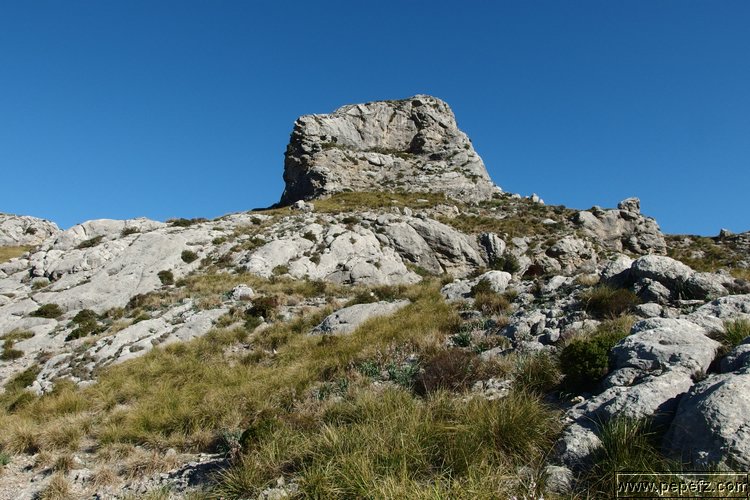 P4103504.JPG