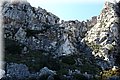 P4103567.JPG