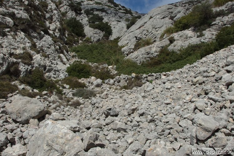 P4203612.JPG