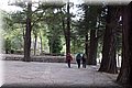 P4203603.JPG