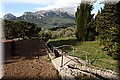 P4203605.JPG