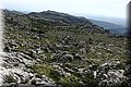 P4203608.JPG