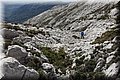 P4203620.JPG
