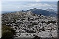 P4203623.JPG