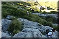 P4223630.JPG